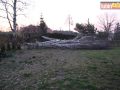 raszowka-drzewo-008