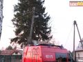 raszowka-drzewo-012