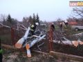 raszowka-drzewo-013