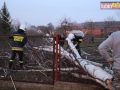 raszowka-drzewo-017