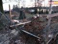 raszowka-drzewo-018