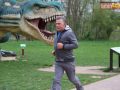 200-parkrun-049