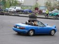 low-silesia-zlot-4