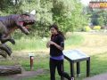 207-parkrun-018