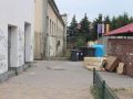 szczury-5