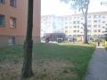 pozar_scinawa_001