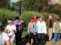 223-parkrun-009_logo