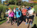 226-parkrun-006_logo