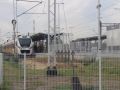Lubin-PKP-5