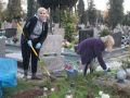 wolontariusze-KGHM-na-lubińskim-cmentarzu-11