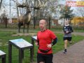 231-parkrun-017_logo