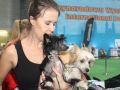 VII-wystawa-psów-rasowych-Lubin-18