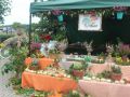 Kozlice-Bieg-charytatywny-dla-Adama-Mikosia-3