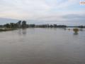 odra_kulminacja_011