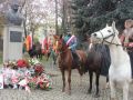 11-listopada-2020-Swieto-Niepodleglosci-19