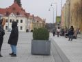 protest-kobiet-Lubin-1