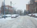 ul.-Armii-Krajowej_Muza