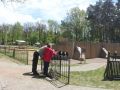 kiermasz-roslin-Lubin-11