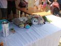 kozlice-piknik-charytatywny-dla-Marcina-3