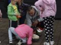 zzpd-Polkowice-festyn-122