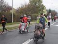 Bieg-Barbokowy-2021-fot.-Marzena-Machniak-262