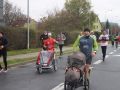 Bieg-Barbokowy-2021-fot.-Marzena-Machniak-263