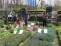 Festiwal-Kwiatow-Lubin-14