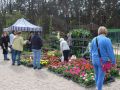 Festiwal-Kwiatow-Lubin-17