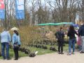 Festiwal-Kwiatow-Lubin-18