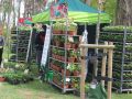 Festiwal-Kwiatow-Lubin-22