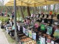 Festiwal-Kwiatow-Lubin-27