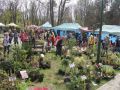 Festiwal-Kwiatow-Lubin-31
