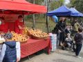 Festiwal-Kwiatow-Lubin-5