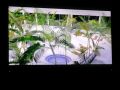 aquapark-Lubin-wizualizacja-6