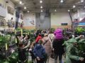 festiwal-roslin-13