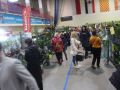 festiwal-roslin-16