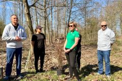 wolontariusze_kghm_zasadzili_drzewa_przy_hucie_miedzi_glogow_10_