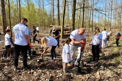 wolontariusze_kghm_zasadzili_drzewa_przy_hucie_miedzi_glogow_3_
