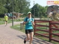 51 parkrun 039-sign