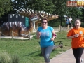 51 parkrun 050-sign