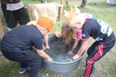 zlot-pojazdow-Lubin-2025-212