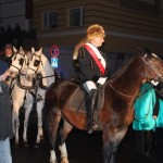 Lis zablokuje ruch w mieście