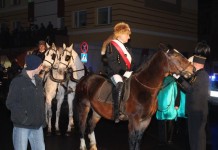Lis zablokuje ruch w mieście