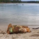 Rokitki czyste – wolontariusze sprzątali zbiornik