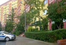 Samobójstwo na Przylesiu