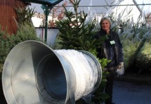 Choinkowe szaleństwo