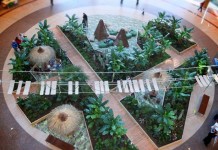 Dżungla w sercu Lubina