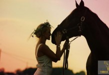 Ocalili ponad 600 koni, zapraszają na dni otwarte