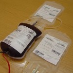 Sukces Miedzianej Krwi