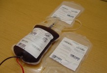 Sukces Miedzianej Krwi